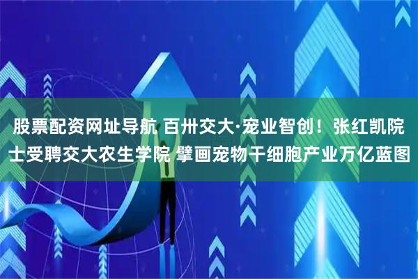 股票配资网址导航 百卅交大·宠业智创！张红凯院士受聘交大农生学院 擘画宠物干细胞产业万亿蓝图